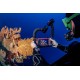 PODVODNÍ SVĚTLO  Sea Dragon 3000f Cob Kit SeaLife 35..300.007